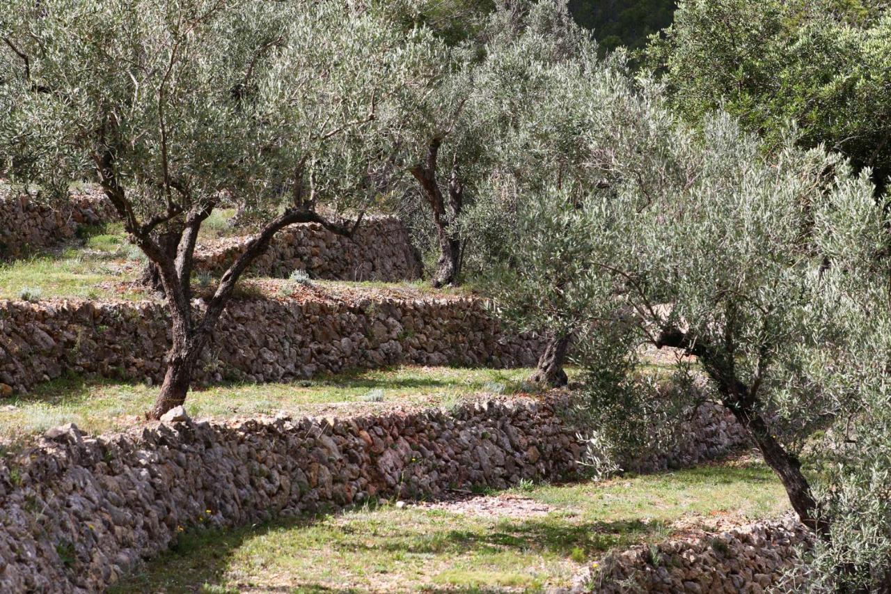 Villa Foia Vella - Adults Only Benigembla Екстериор снимка